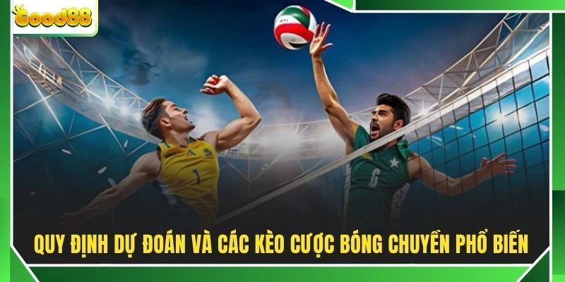 Quy định dự đoán và các kèo cược bóng chuyền phổ biến